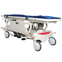 CAMILLA TRASLADO DE PACIENTES N1